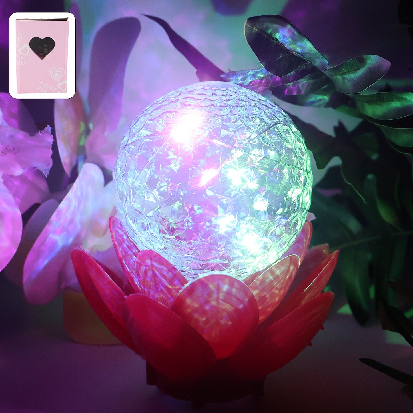 LED Decorative Accent Lamp